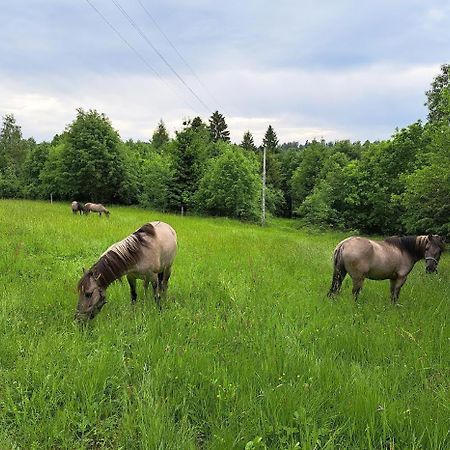 Sudecka Chata Бистшиця-Клодзька Екстер'єр фото